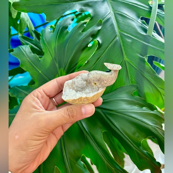 Whale Carving on Quartz Geode - Picture 6 of 7